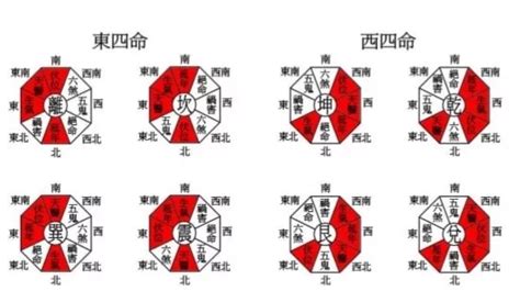 东西四命查询|八宅派風水 東西四命如何算？ 